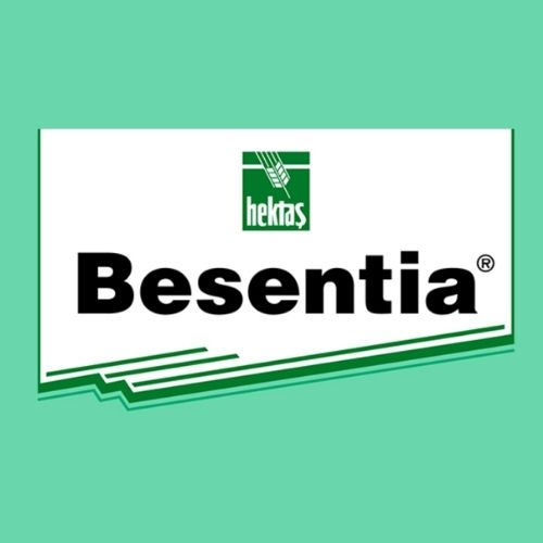  BESANTİA®