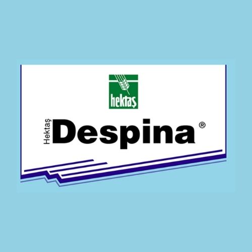  HEKTAŞ DESPİNA®