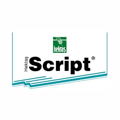  HEKTAŞ SCRİPT®