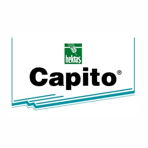 CAPITO®