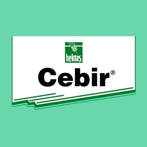 CEBIR®
