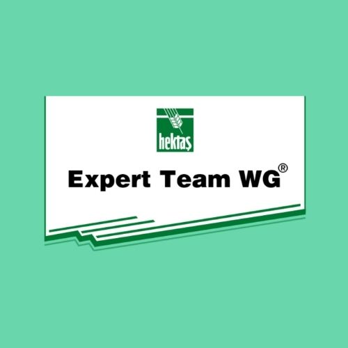 EXPERT ® TEAM WG