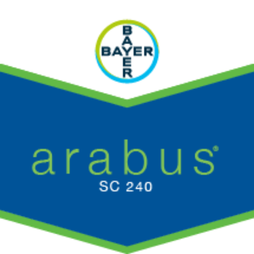 ARABUS SC 240 (Insektisit)