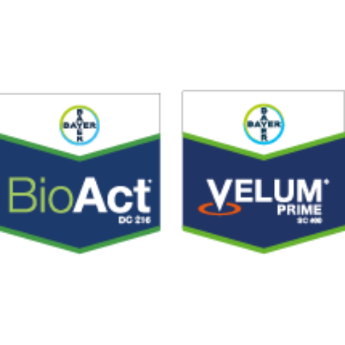 BIOACT® + VELUM PRIME® SC 400 (Nematisit)