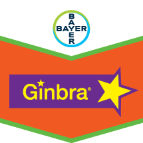 GINBRA SC 500 (Herbisit)