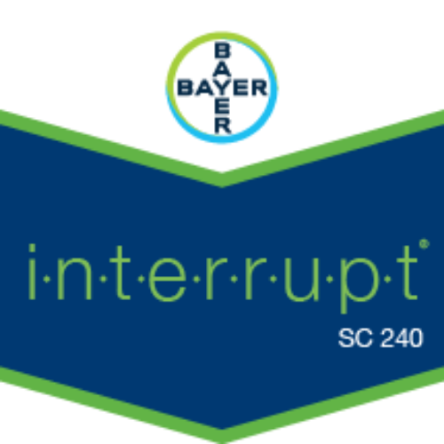 INTERRUPT SC 240 (Insektisit)