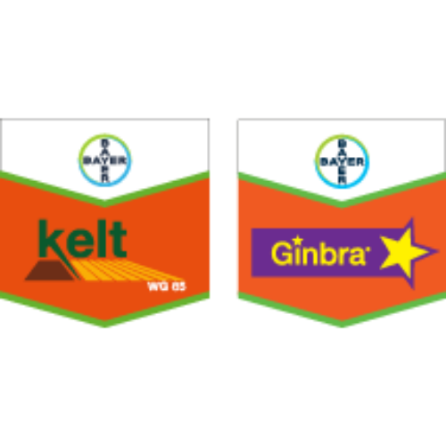 KELT® WG 85 & GINBRA® SC 500 (Herbisit)