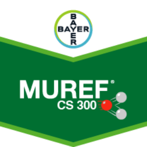 MUREF SC 300 (Fungisit)