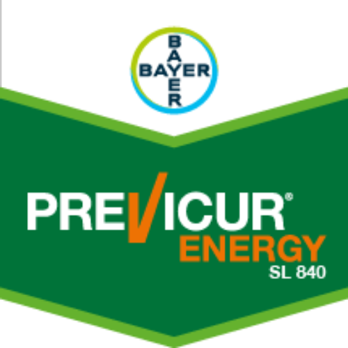 PREVICUR® ENERGY SL 840 (Fungisit)