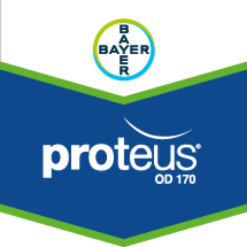 PROTEUS® OD 170 (Insektisit)