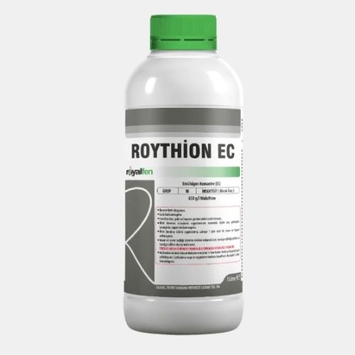 ROYTHİON EC