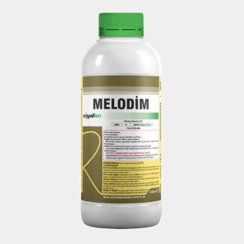 MELODİM
