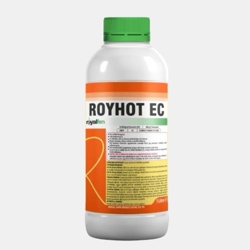 ROYHOT EC
