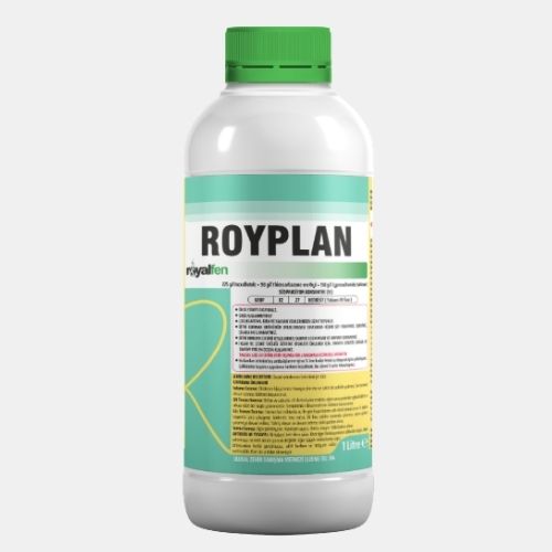 ROYPLAN