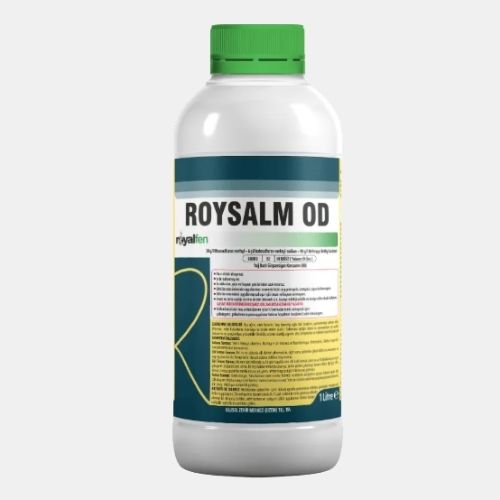 ROYSALM OD