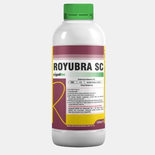 ROYUBRA SC