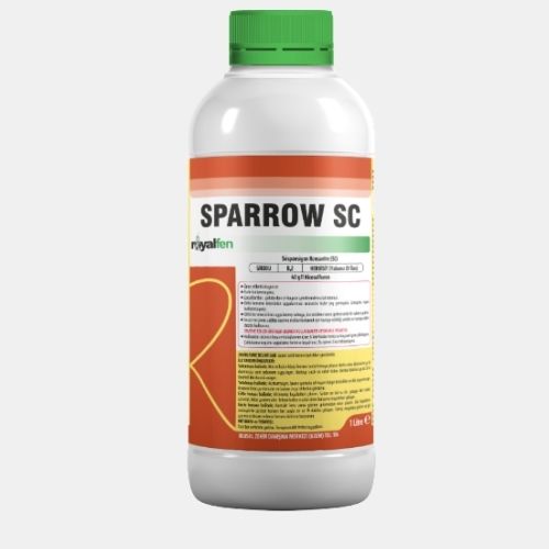 SPARROW SC