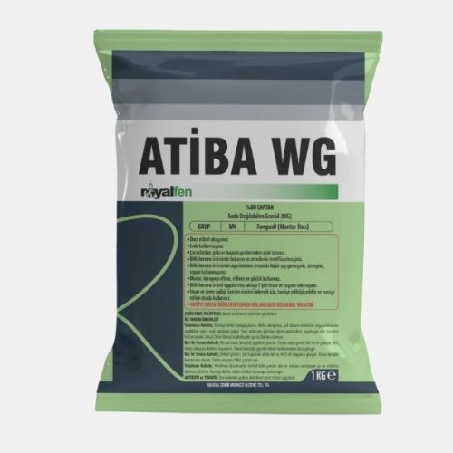 ATİBA WG