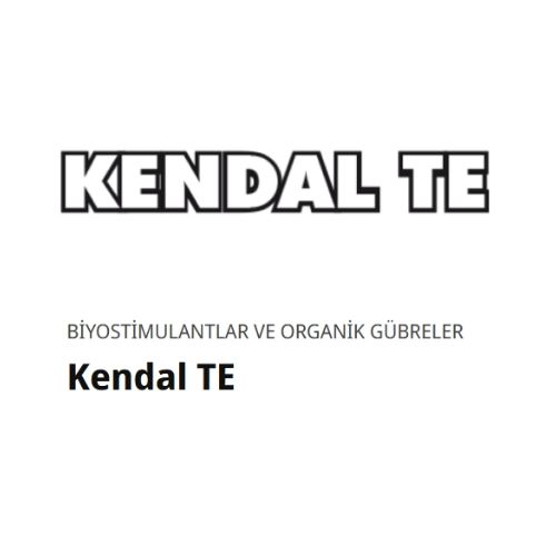 Kendal TE
