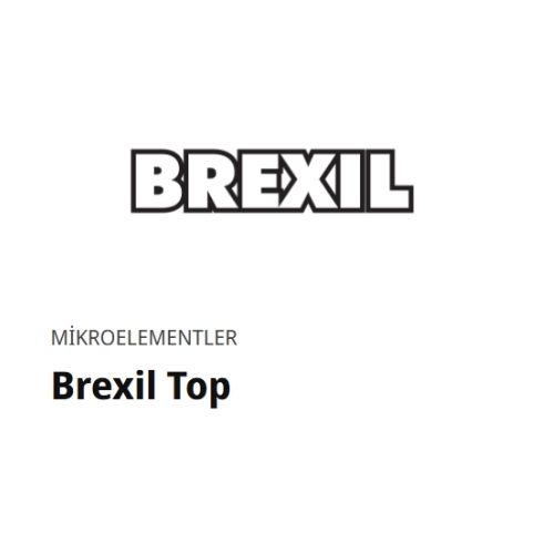 Brexil Top