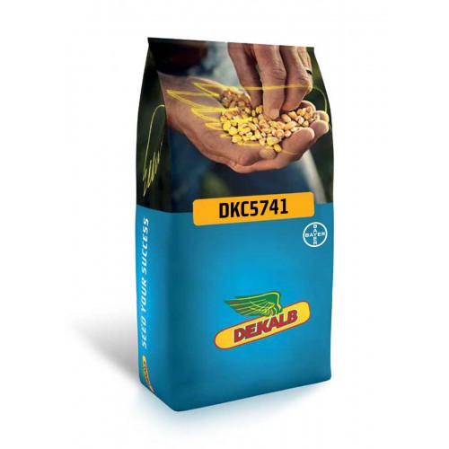  DKC5741 Mısır Tohumu