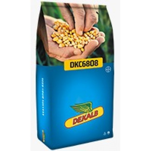  DKC6808 Mısır Tohumu